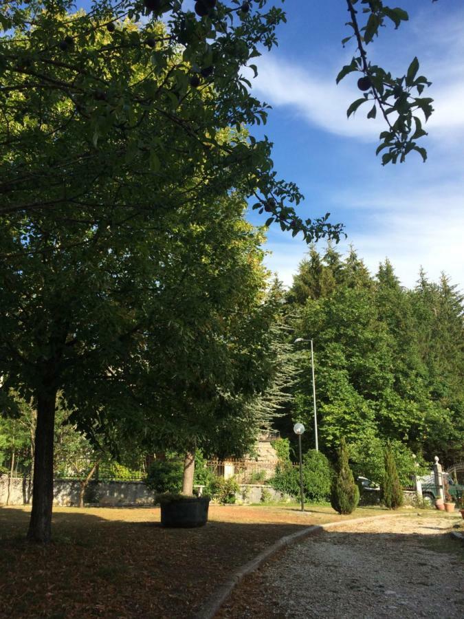 ペスカッセーロリ Casa Con Giardinoヴィラ エクステリア 写真