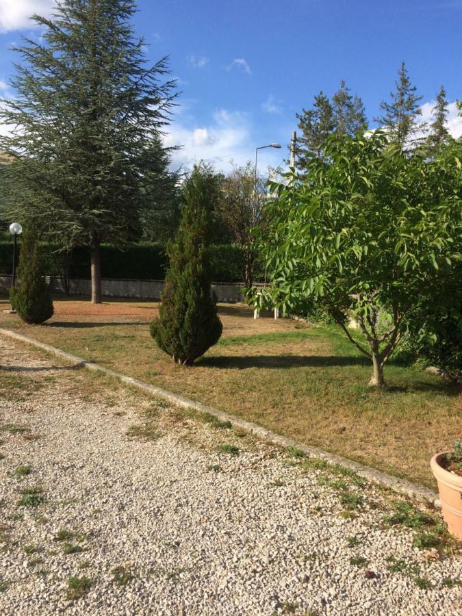 ペスカッセーロリ Casa Con Giardinoヴィラ エクステリア 写真
